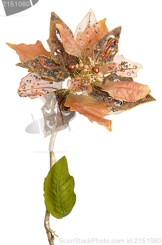 Image of Golden Christmas decoration branches