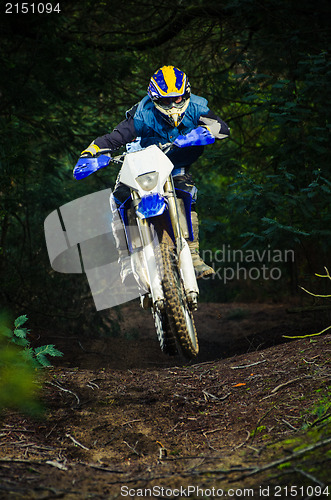 Image of Enduro bike rider