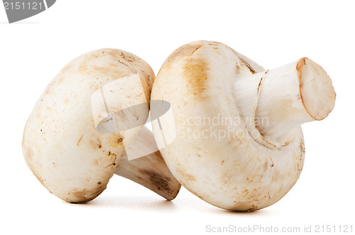 Image of Champignon mushrooms