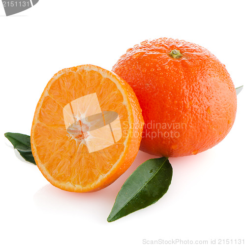 Image of Fresh orange mandarins