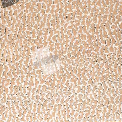 Image of Abstract leather texture closeup