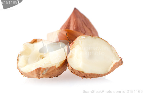 Image of Tasty hazelnuts