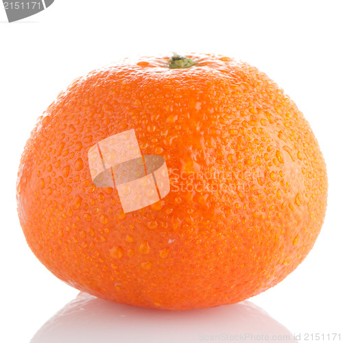 Image of Ripe tangerine or mandarin