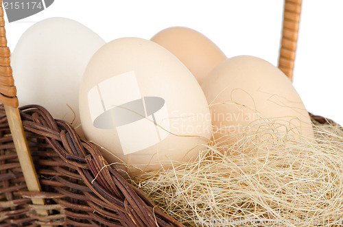 Image of Eggs closeup