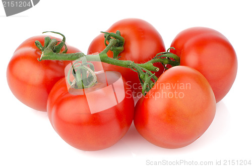 Image of Red ripe tomato