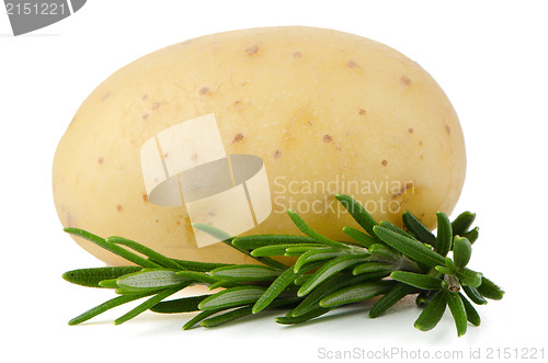 Image of New potato