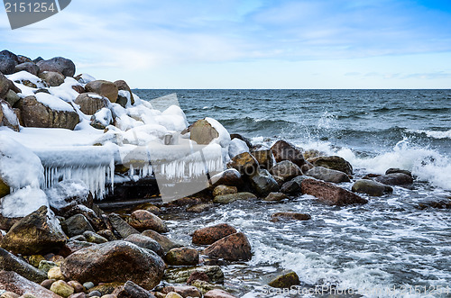 Image of Cold coast