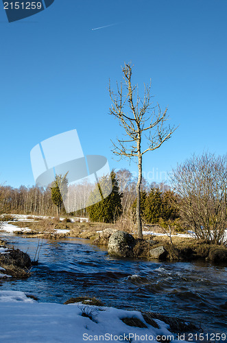 Image of Early springtime landscape