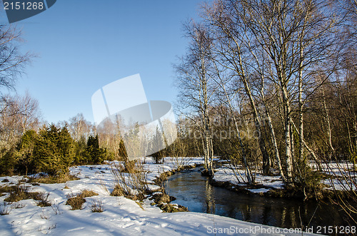 Image of Brook in early springtime