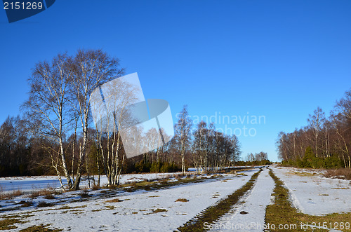 Image of Melting tracks