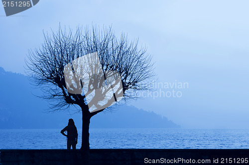 Image of Lake side hiker