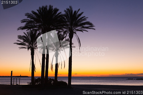 Image of Sunrise on the Malaga beach