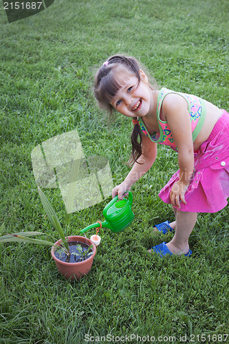 Image of Little girl watering the plants
