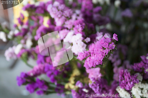 Image of Focus fresh purple statice flowers