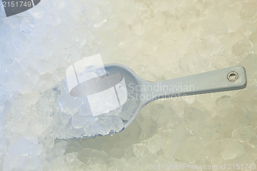 Image of Ice scoop in fresh cool ice background 