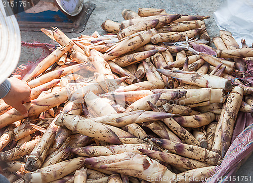 Image of Lots of bamboo shoot bargaining in local market