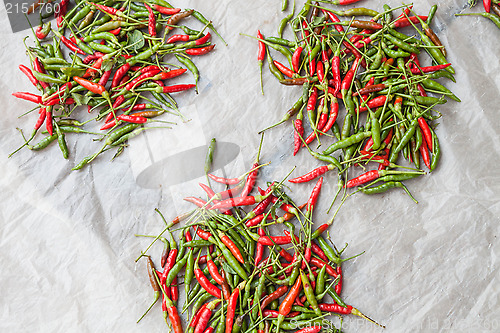 Image of Spicy red and green hot chili peppers 