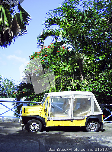 Image of island vehicle  flat tires by palm trees Bequia St. Vincent and 