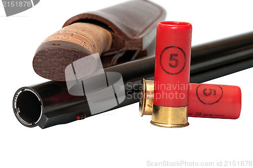 Image of Ammunition.