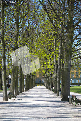 Image of Spring in Bonn