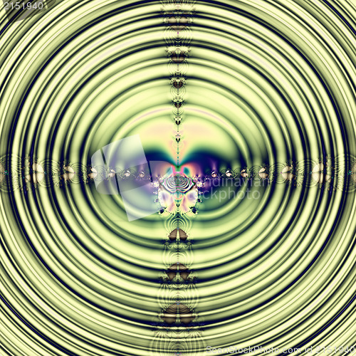 Image of Spring