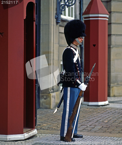 Image of Royal Guard