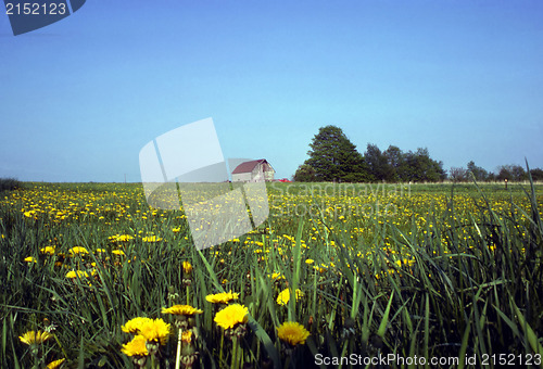 Image of Farm