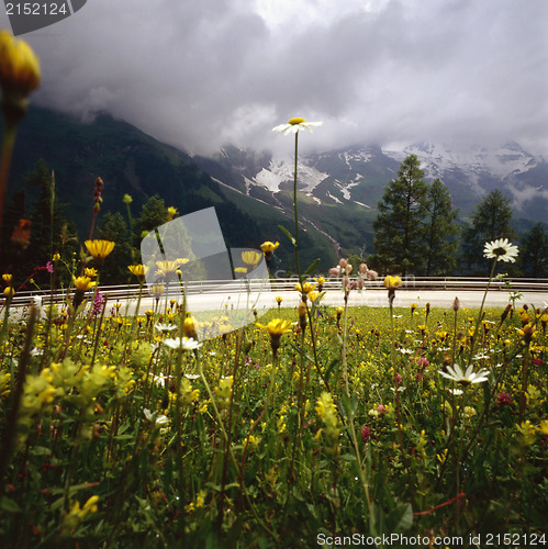 Image of Alpine road