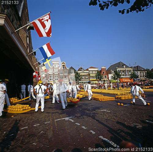 Image of Cheese Market in Alkmaar