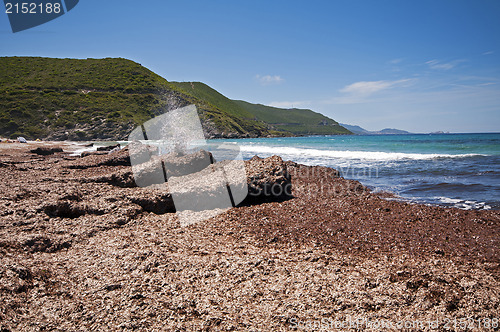 Image of Ostriconi beach