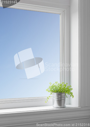 Image of Green plant on a windowsill, with blue sky seen through the wind