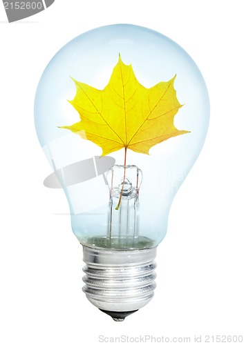 Image of Electrobulb with maple  leaf 