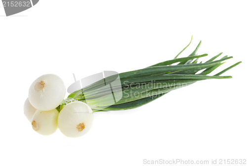 Image of spring onions