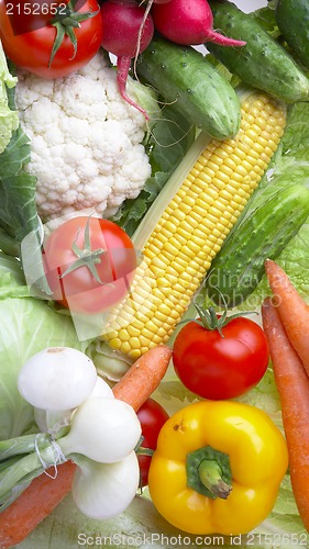 Image of vegetables. Healthy food