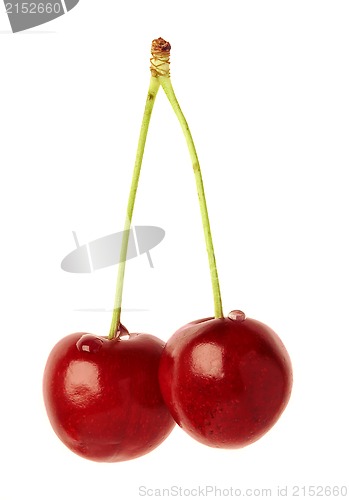 Image of Two cherries with dewdrops 
