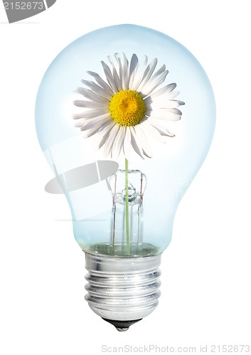 Image of Electrobulb with oxeye