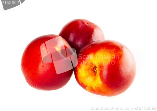 Image of nectarines