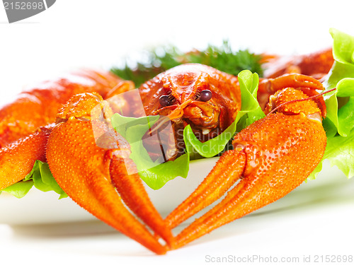 Image of Boiled crawfish on a white background