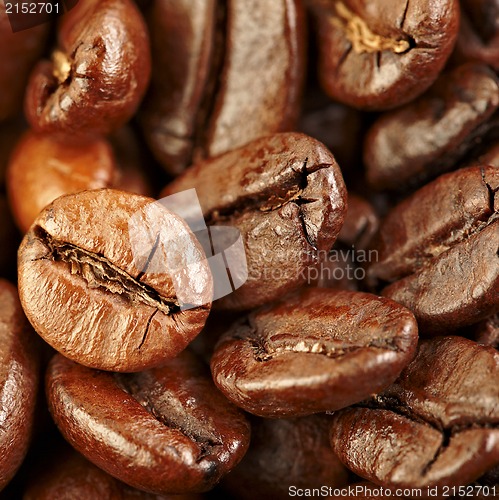 Image of coffee beans