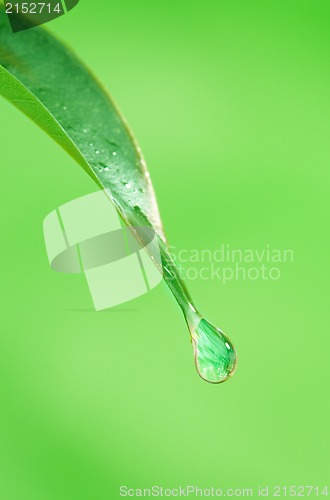 Image of  waterdrop 