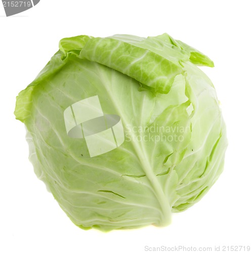 Image of cabbage-head