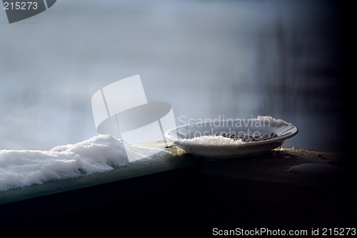 Image of Food for the birds