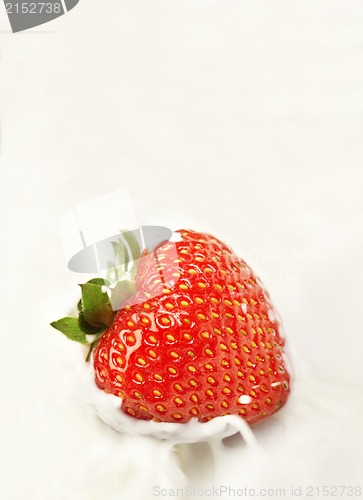 Image of Strawberry