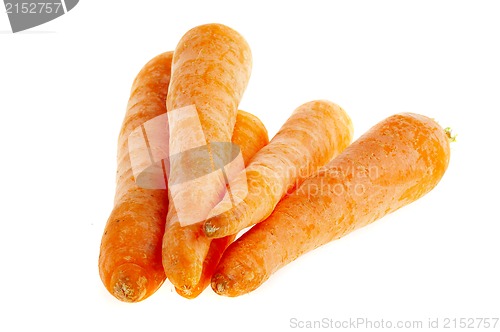 Image of carrot