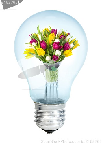 Image of Electrobulb with a bunch of tulips