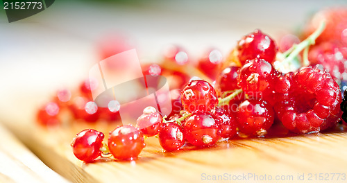 Image of currants