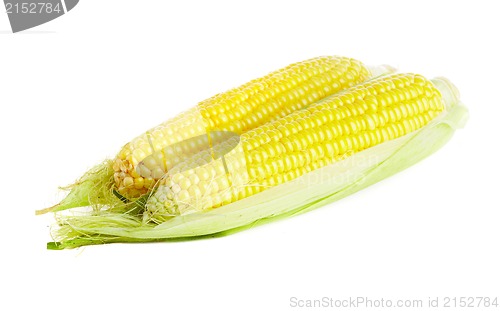 Image of corn