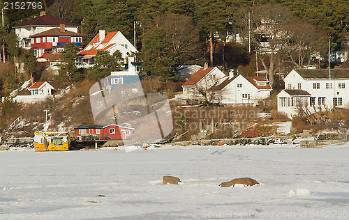 Image of House near the sea