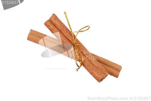 Image of Cinnamon