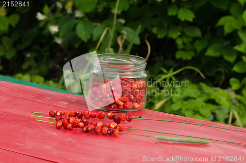 Image of wild strawberry glass pot string bent health fruit 